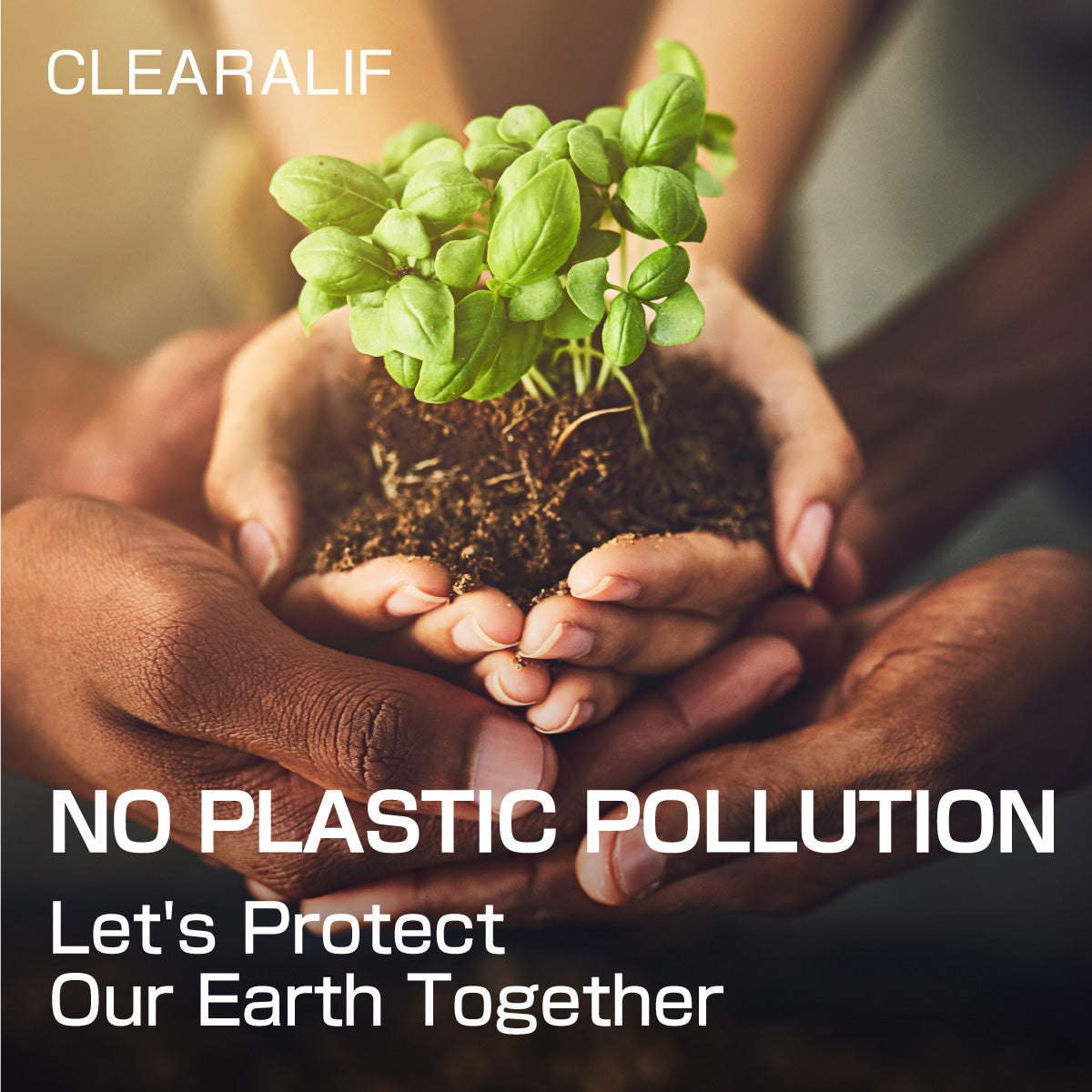 Why Biodegradable Laundry Sheets Are a Game-Changer