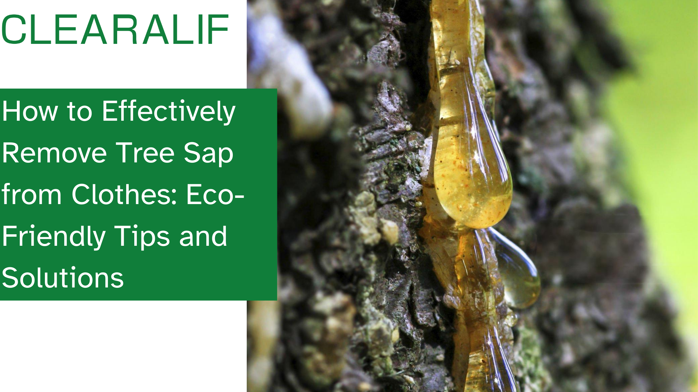 How to Effectively Remove Tree Sap from Clothes: Eco-Friendly Tips and Solutions
