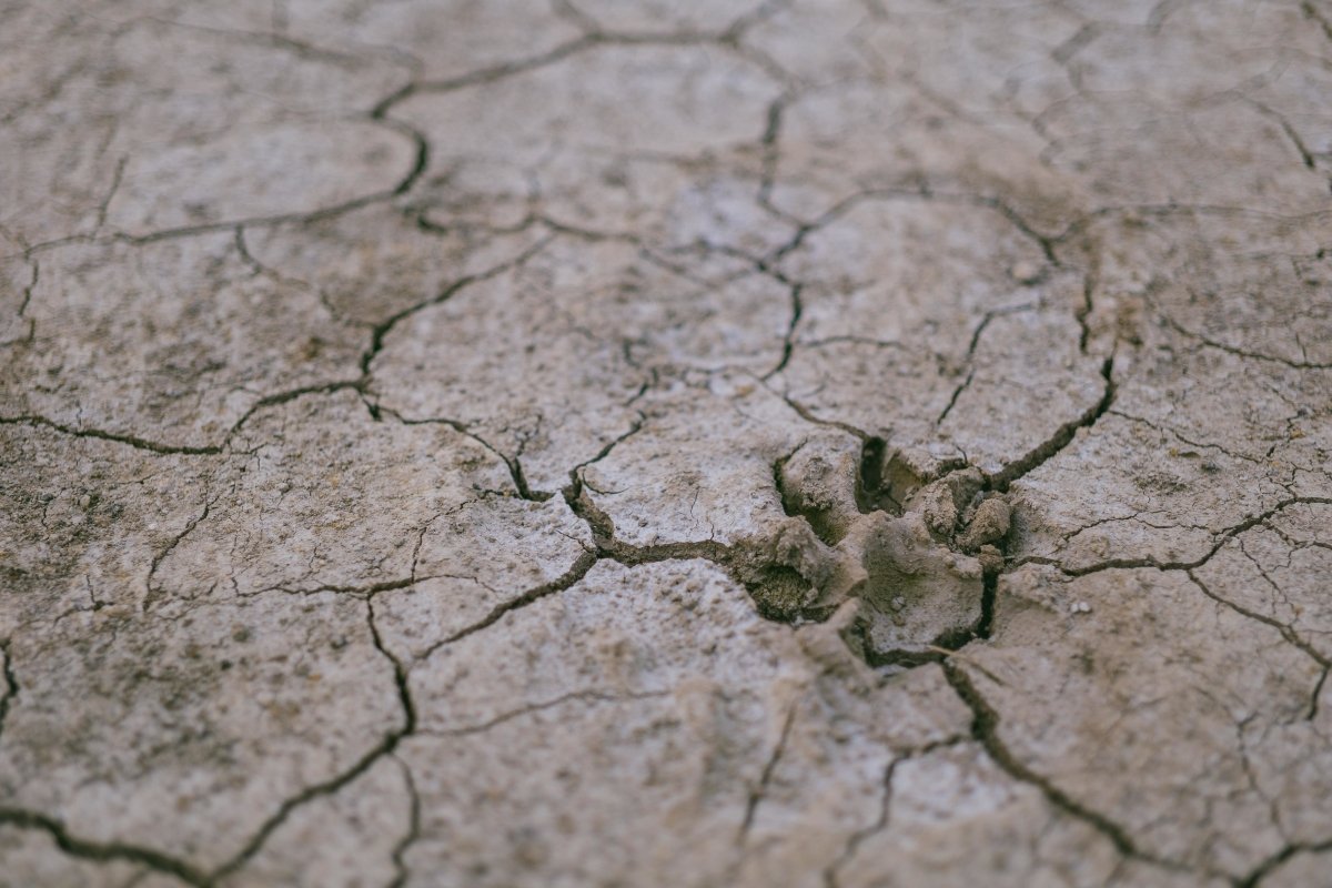 Save Water during the Drought | The U.S. is Crazy Dry - CLEARALIF