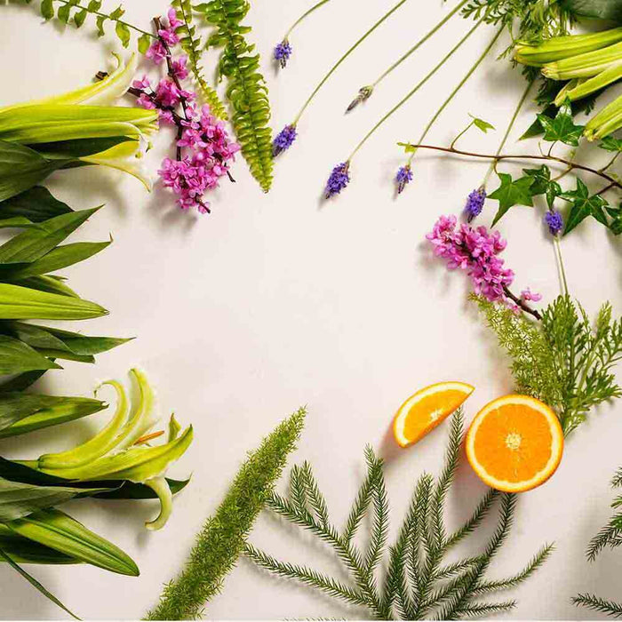 clearalif-laundry-essentials-kit